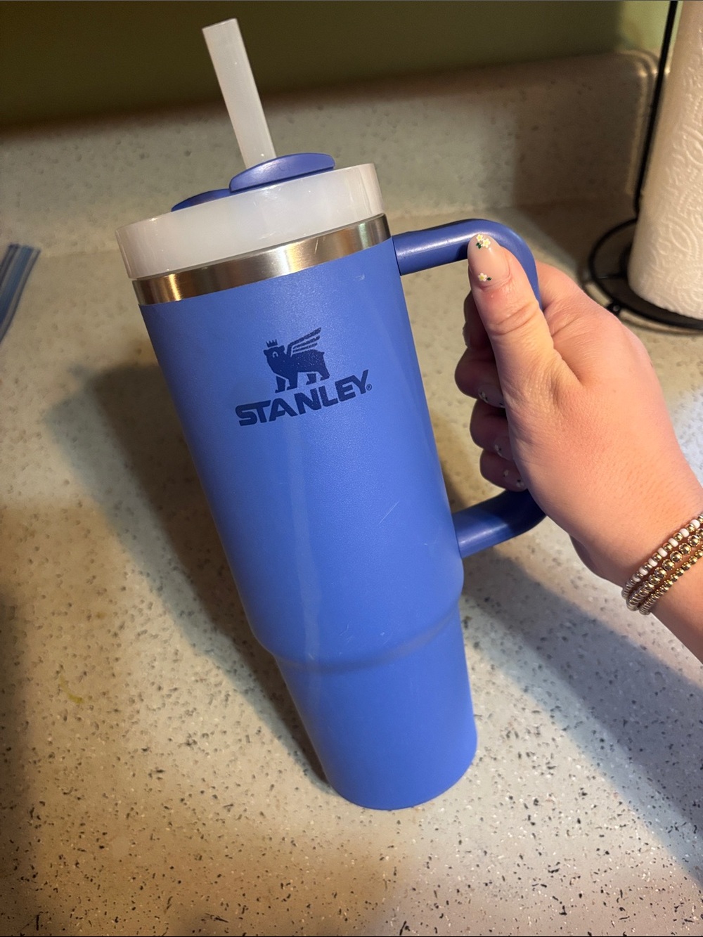 30oz Stanley Light Blue Travel Tumbler with Handle and Straw